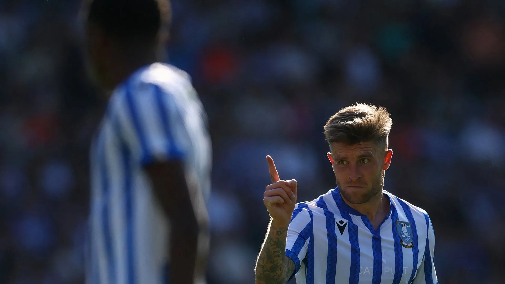 Josh Windass tiền đạo chủ lực của Sheffield Wednesday trong màu áo sọc xanh trắng