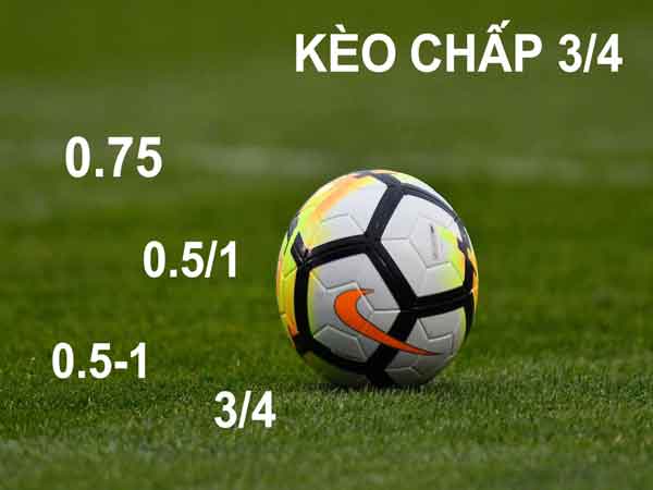Kèo 0.5: Giải Thích Chi Tiết và Cách Đọc Hiệu Quả 13 Kèo 0.5: Giải Thích Chi Tiết và Cách Đọc Hiệu Quả