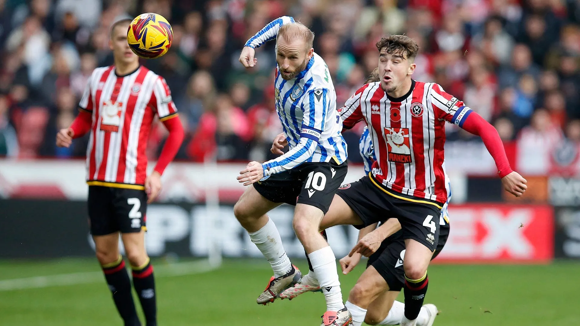 Ollie Arblaster thi đấu cho Sheffield United trong trận derby với Sheffield Wednesday