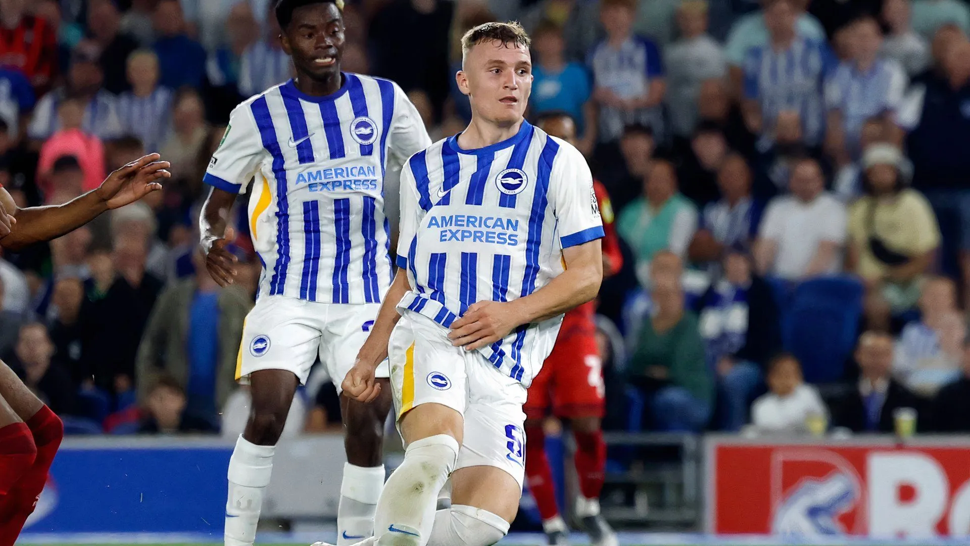 Huy hiệu câu lạc bộ Brighton &amp; Hove Albion, đội bóng chủ quản của Mark O'Mahony