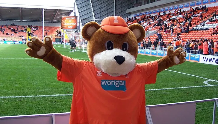 Linh vật Bloomfield Bear, niềm vui của Blackpool FC