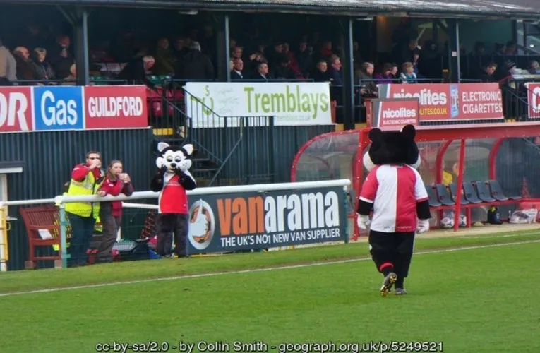 Linh vật của Woking FC
