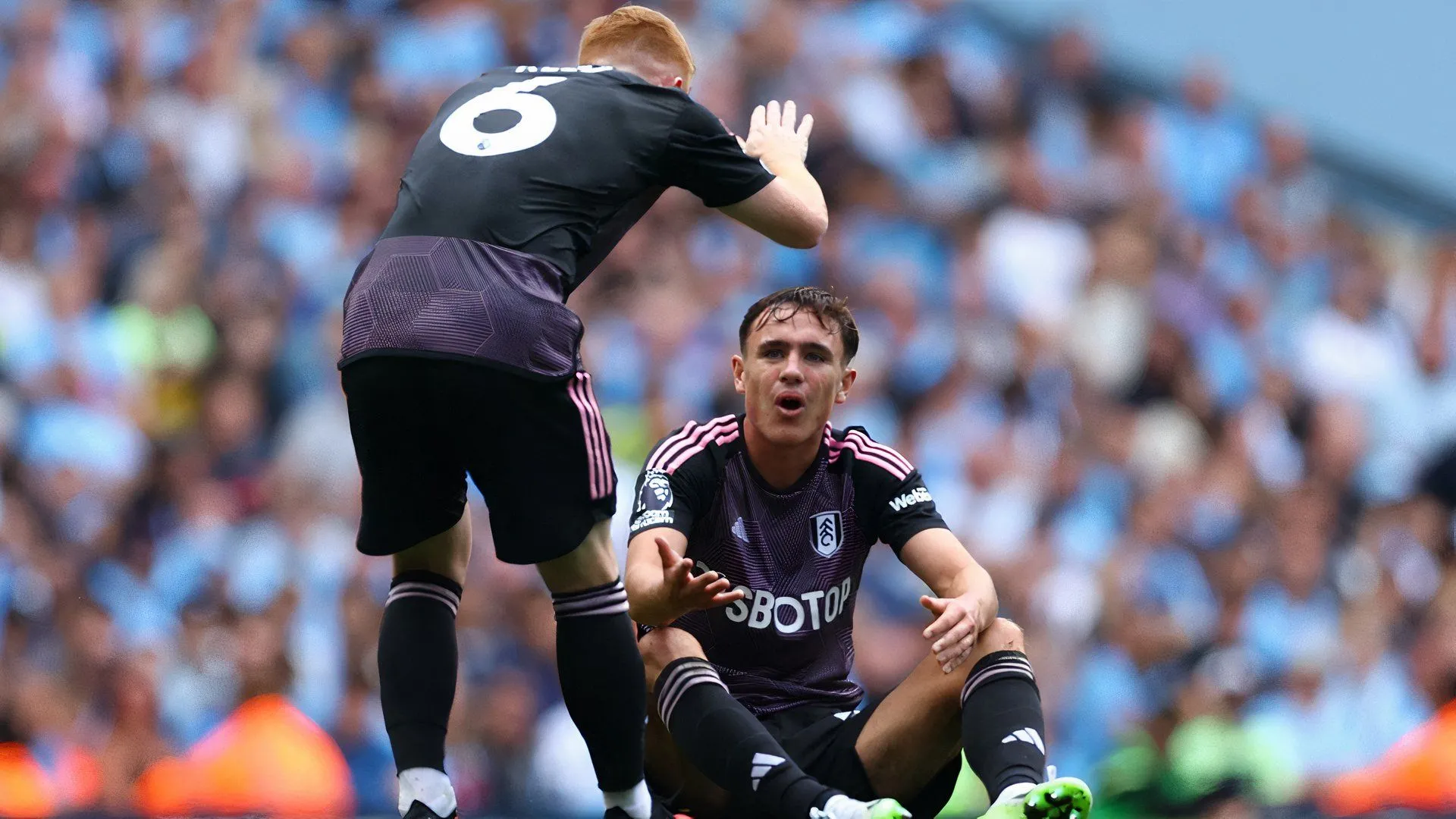 Luke Harris trong trận ra mắt Premier League cho Fulham