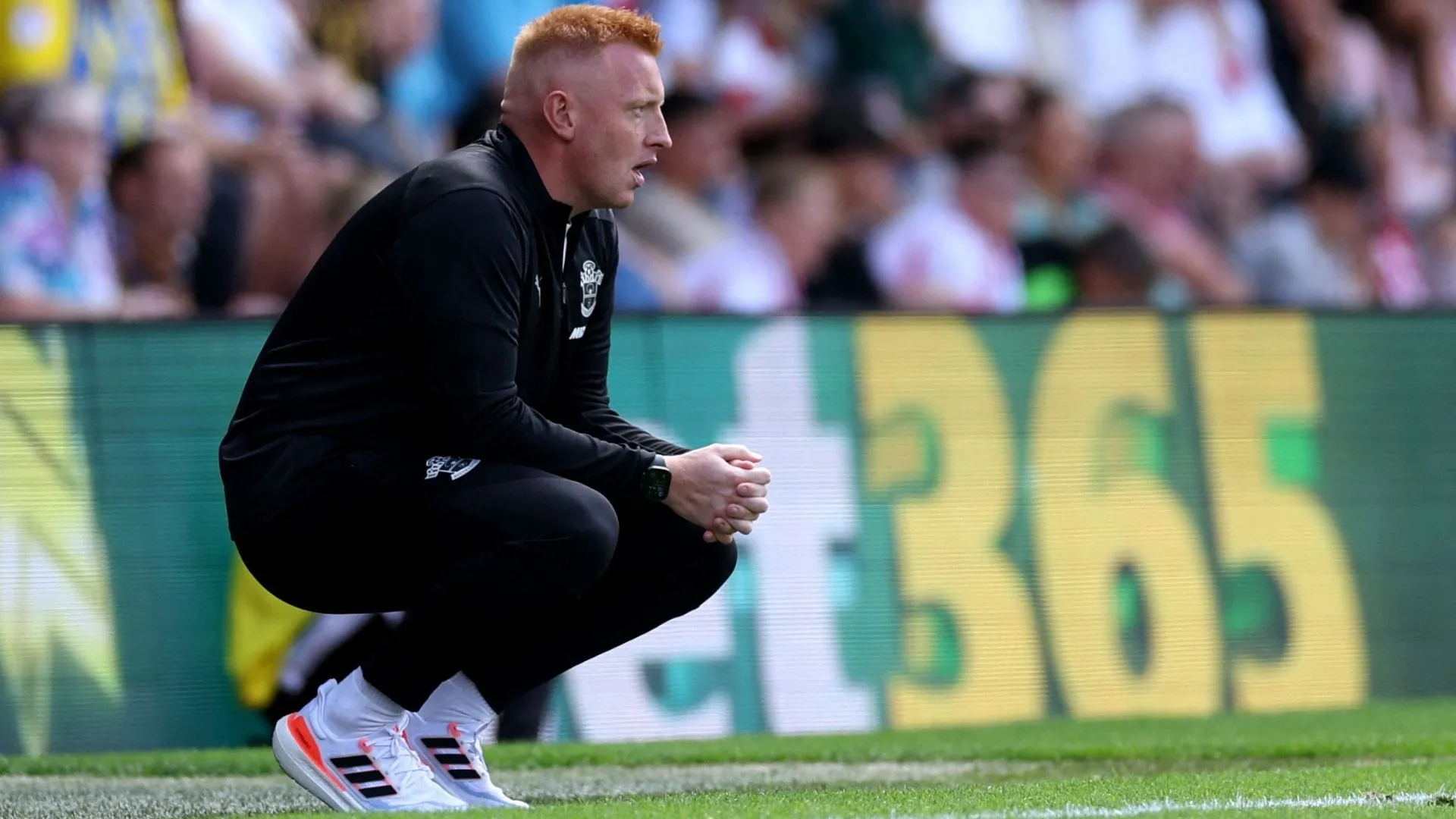 Huấn luyện viên Will Still của Southampton trong một trận đấu căng thẳng